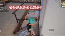免费搞鸡视频,轻松享受娱乐时光