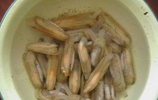 海鲜品种名称图片大全,海鲜品种图片大全解析