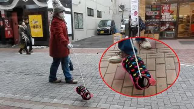 日本街头透明,透明生活下的文化魅力