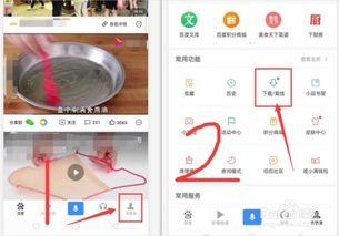 手机怎么下载视频,掌握视频下载技巧