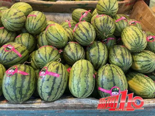 91黑料吃瓜每日大赛,揭秘娱乐圈幕后风云