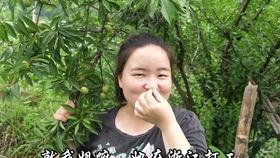 五一吃瓜今日吃瓜台北娜娜老师,揭秘台北娜娜老师的神秘面纱
