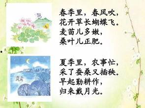 四季歌 国语,四季流转中的诗意人生
