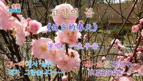 韩国金美子,璀璨星河中的璀璨明珠