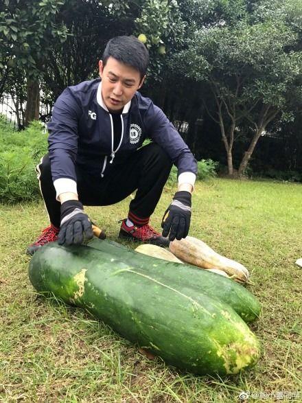 吃瓜爆料照,吃瓜爆料照背后的惊人真相