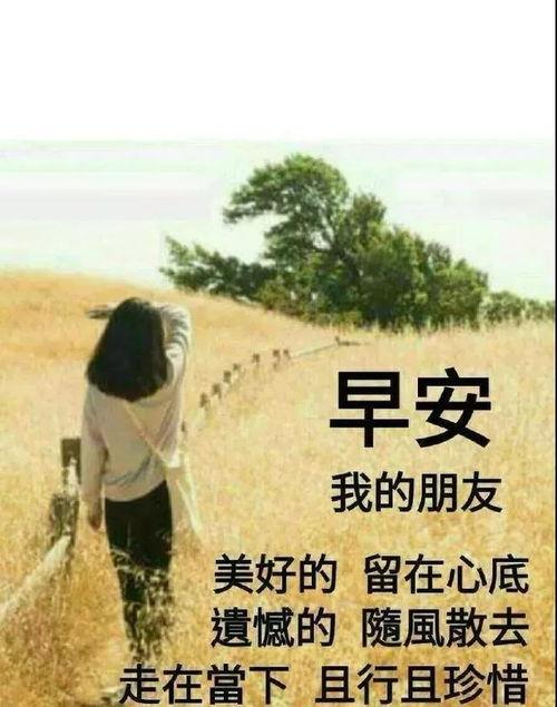做梦的图片大全带字,图解梦境大全文字解析