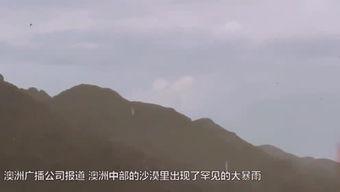 至野一族国语