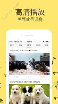 中文字幕在线观看香蕉,中文字幕在线观看的甜蜜之旅