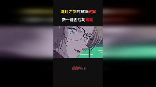 满月之夜的双重迷案国语,双案迷雾重重