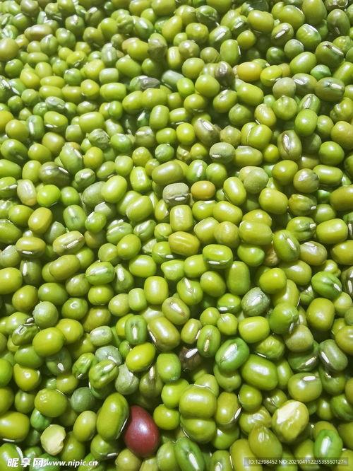 绿豆的图片,夏日清凉佳品，养生保健的绿色精灵