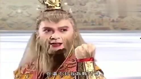 猿猴视频,探索动物世界的趣味与智慧