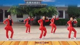 情缘舞蹈视频,一段舞蹈背后的浪漫故事