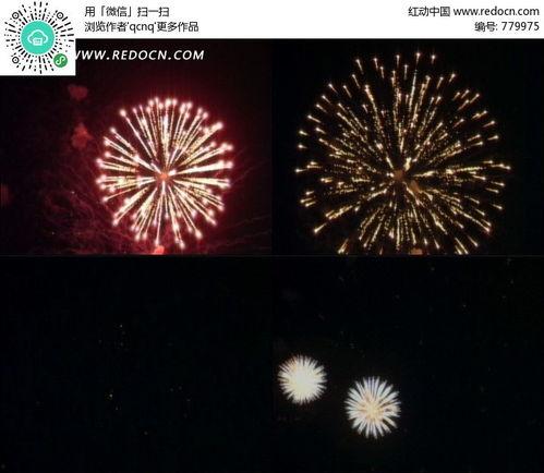 性动态视频,探索性别表达与多元视角的视觉盛宴