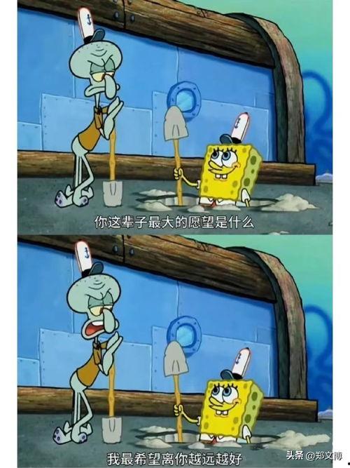 章鱼哥的图片,海洋中的智慧奇才