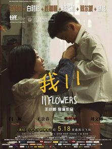 我11 在线观看,穿越时光的青春记忆