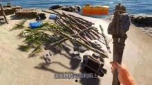 荒岛求生游戏视频,挑战极限，逆境求生记