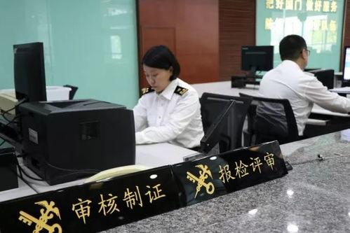 后来教学视频,解锁高效学习新篇章