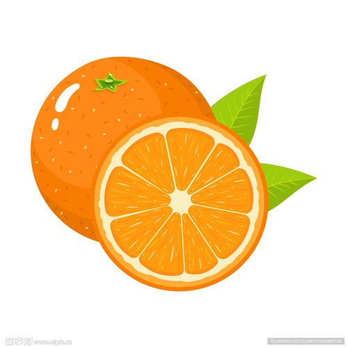 橘子卡通图片,甜蜜果实与欢乐童趣的完美邂逅