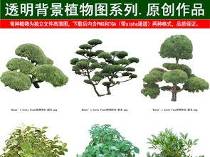 山水花草树木图片大全,山水花草树木的和谐交响