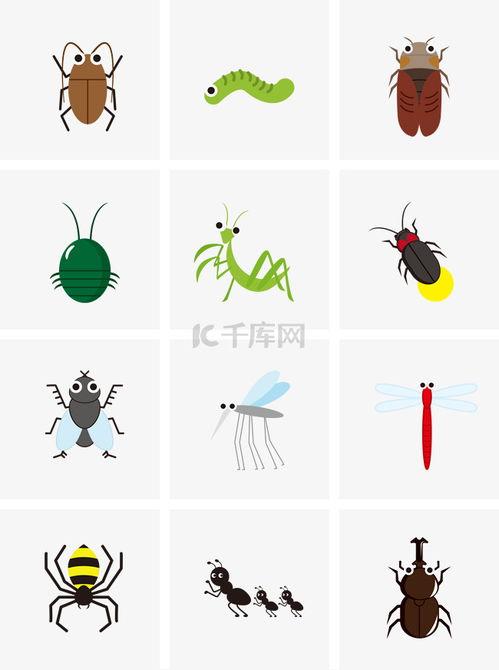 昆虫手绘图片大全,手绘图鉴中的奇妙生命画卷