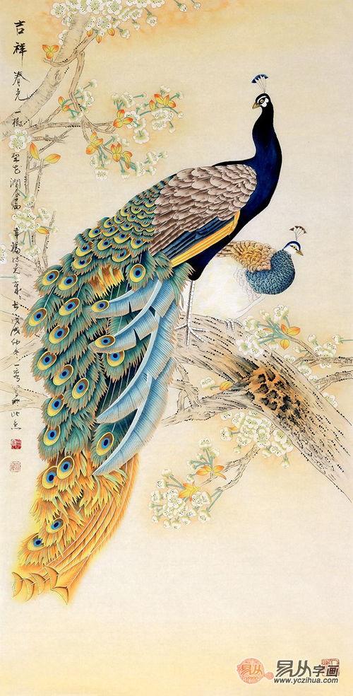 画孔雀图片大全,孔雀图片大全赏析