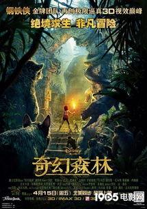 奇幻森林国语版,探索勇气与成长的奇幻之旅