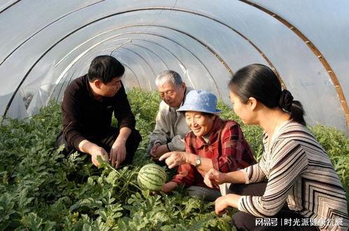 今日新疆吃瓜事件,揭秘背后真相与网络舆论风暴