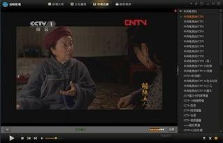 鸭王1电影国语完整版,逆袭风云——笑中带泪的香港娱乐圈传奇