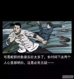 蛇降国语,惊悚降世，生死较量