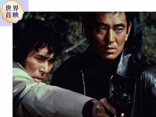 追捕电影日本电影,跨越国度的正义之战
