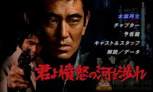 追捕电影日本电影,跨越国度的正义之战