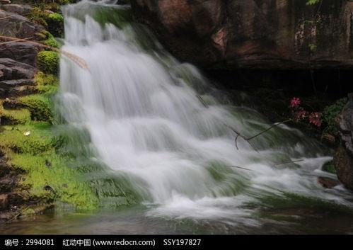 水流图片,水流画卷中的生命律动