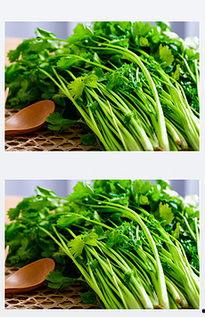 山香菜图片大全,自然界的绿色珍宝