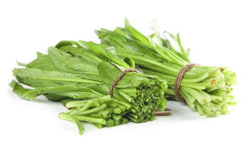 山香菜图片大全,自然界的绿色珍宝