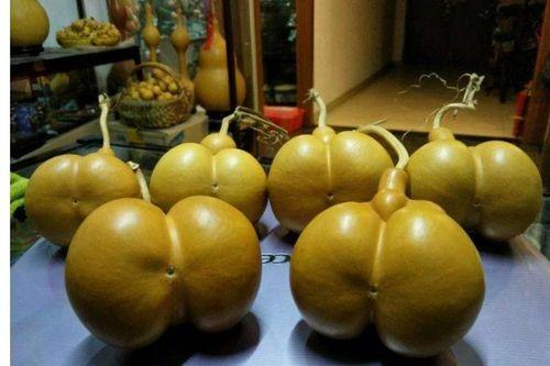 烫葫芦图片大全,千姿百态，尽展民间艺术魅力