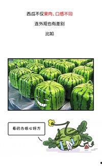 历史回顾黑料吃瓜,那些被尘封的黑料与吃瓜瞬间