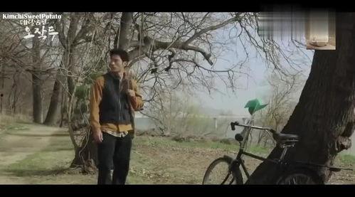 韩国虐歌,揭开黑暗旋律背后的残酷现实