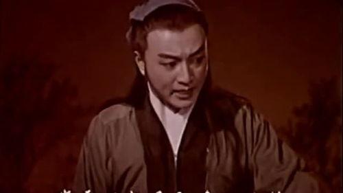 牛郎视频,浪漫星空下的爱情传奇