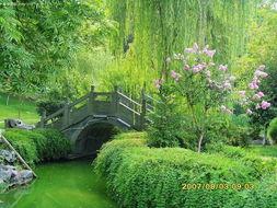 柳暗花明图片大全,探寻自然之美与人生哲理