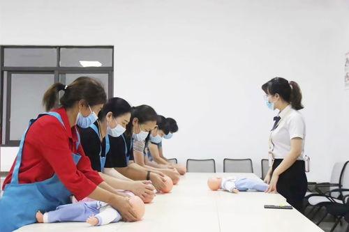 钟点工服务在线观看,轻松便捷的家政新选择