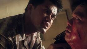 坡豪在线观看,揭秘网络直播的火爆现象