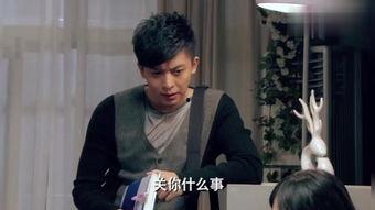 2013春梦在线观看,2013年热门网络影视作品回顾