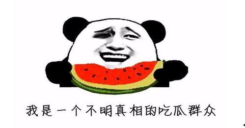 今日吃瓜是什么意思