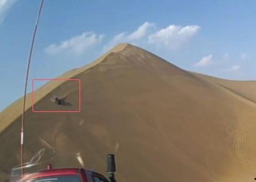 沙漠视频,探索无垠沙海的壮丽画卷