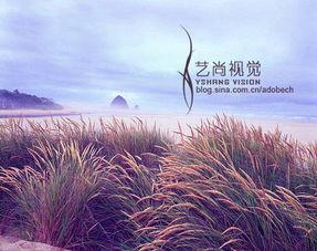 紫色风景图片,一幅风景画卷的浪漫演绎