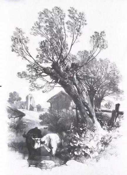 画画图片大全风景素描,自然之美，线条勾勒