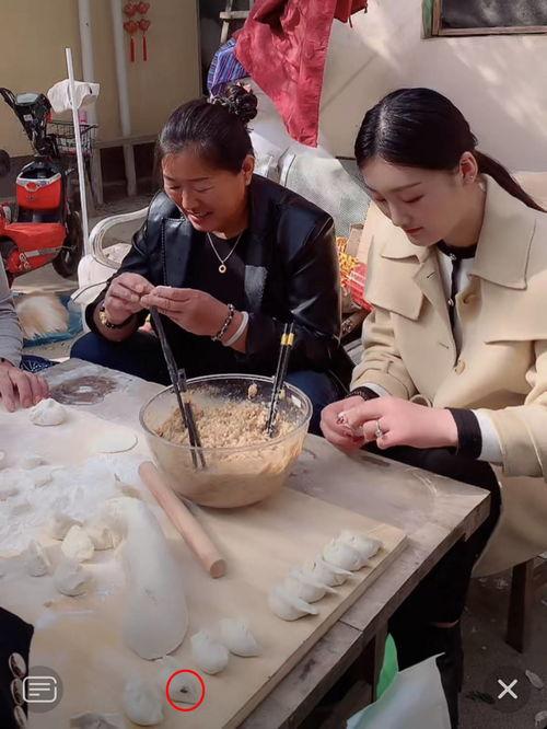视频包饺子,轻松学会传统美食制作