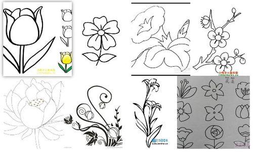 花图片怎么画
