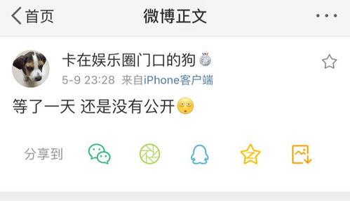 最新爆料吃瓜在线,娱乐圈最新爆料，吃瓜群众狂欢时刻！