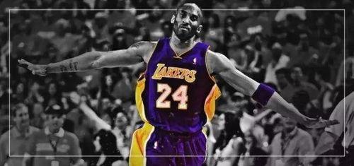 科比犬图片大全,萌态可掬的宠物明星图鉴